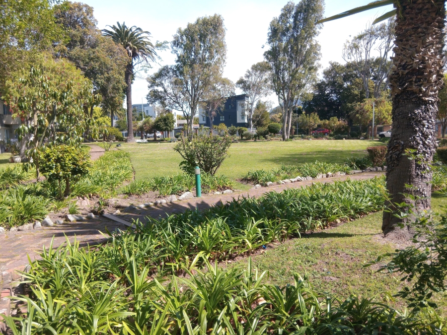 To Let 3 Bedroom Property for Rent in Kenilworth Western Cape
